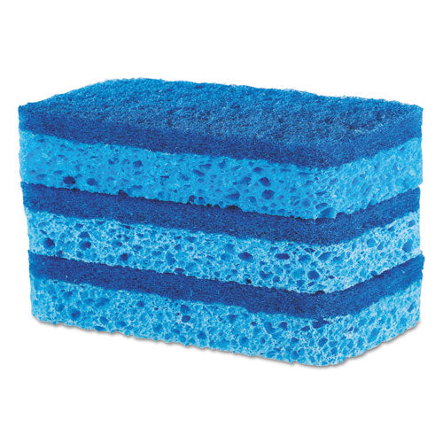 All Surface Scrubber Sponge, 2.5 X 4.5, 0.9" Thick, Dark Blue, 3/pack, 8 Packs/carton