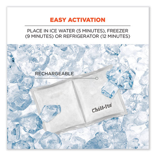 Chill-its 6283 Rechargeable Phase Change Ice Pack, 3 X 6, Ships In 1-3 Business Days