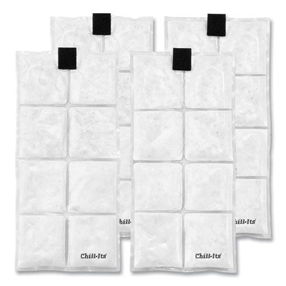 Chill-its 6250 Lightweight Phase Change Cooling Packs, 6 X 13, 4/carton, Ships In 1-3 Business Days