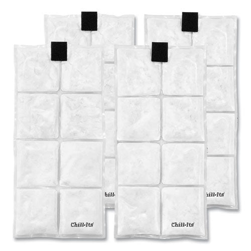 Chill-its 6250 Lightweight Phase Change Cooling Packs, 6 X 13, 4/carton, Ships In 1-3 Business Days